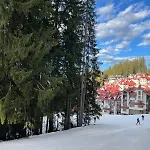 The Castle Mountain