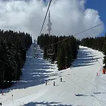 The Castle Mountain *