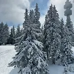 The Castle Mountain Pamporovo