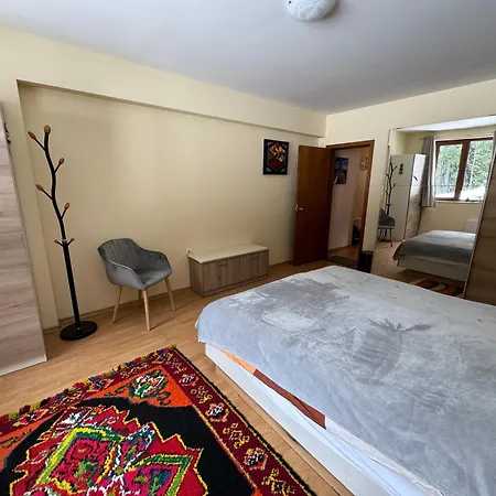 The Castle Mountain Apartment