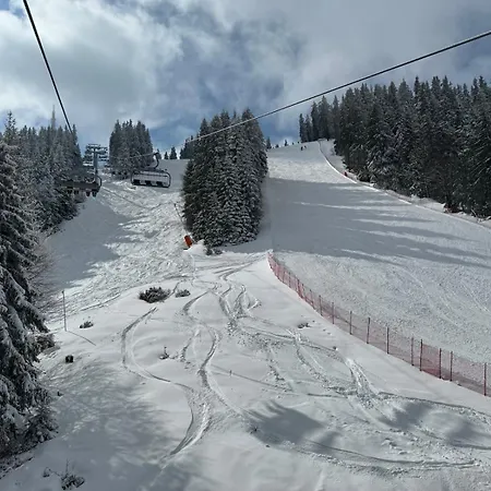 The Castle Mountain * Pamporovo