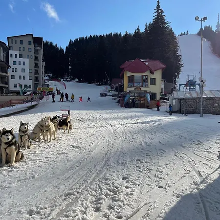 Apartment The Castle Mountain Pamporovo