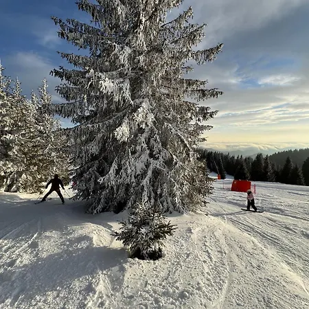 Apartment The Castle Mountain *
