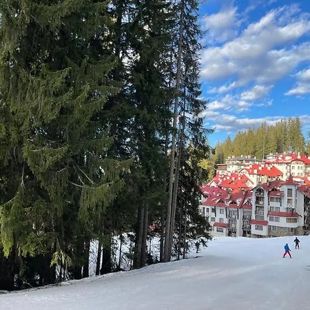Apartment The Castle Mountain