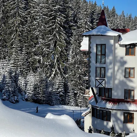 The Castle Mountain Apartment Pamporovo