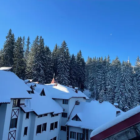 The Castle Mountain Apartment Pamporovo