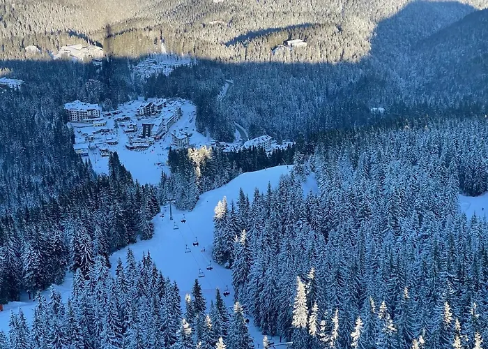 The Castle Mountain Apartment