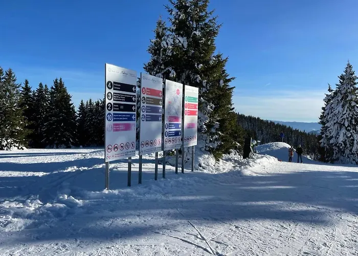 The Castle Mountain Apartment