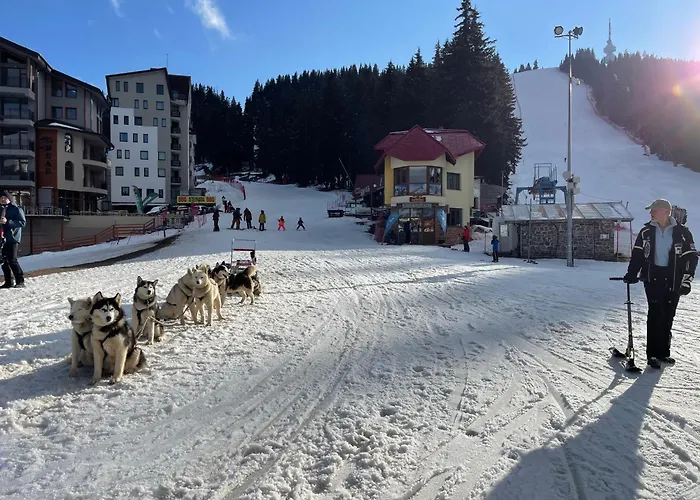 Apartment The Castle Mountain Pamporovo