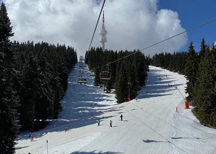 The Castle Mountain *