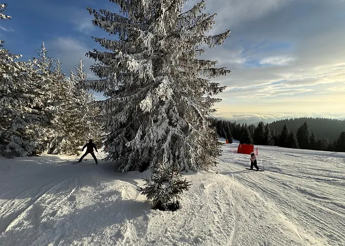 Apartment The Castle Mountain *