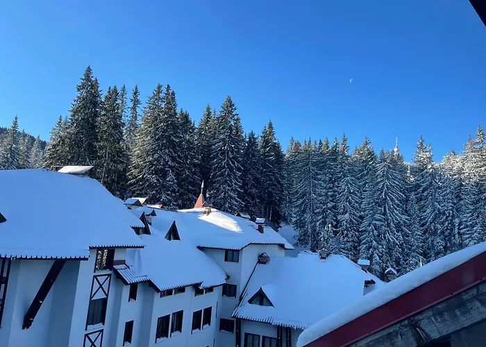 The Castle Mountain Apartment Pamporovo